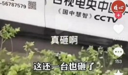 爆料唐山视频下载网站官网,海量资源一网打尽